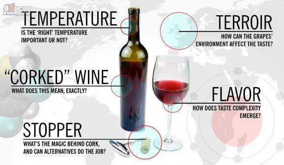 wine_terroir.jpg