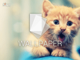 android-wallpaper-cat-640x400