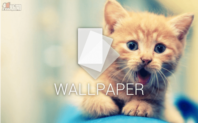 android-wallpaper-cat-640x400