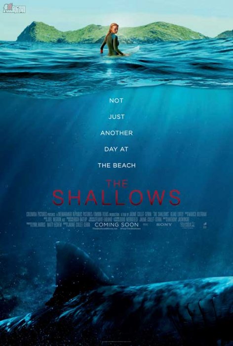 the-shallows
