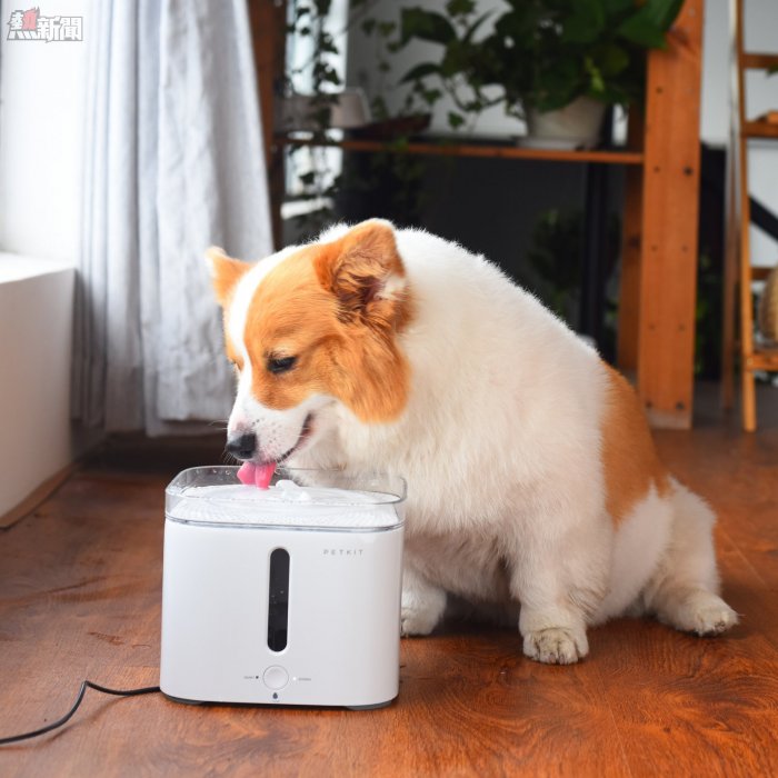 AndrlidHK 讀者本周專享優惠，輸入代碼 PETKIT EVERSWEET 寵物飲水機立減 HK$30