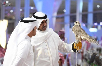 Falconers at the 2nd Saudi Falcons and Hunting Exhibition - Riyadh, Saudi Arabia
